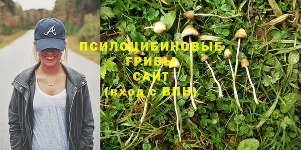 прущие крисы Аркадак