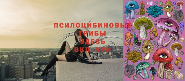 мяу мяу кристалл Арсеньев