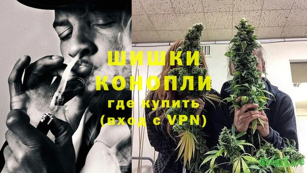 прущие крисы Аркадак
